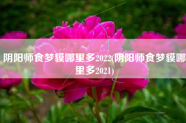 阴阳师食梦貘哪里多2022(阴阳师食梦貘哪里多2021)