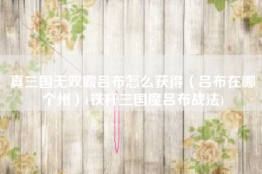 真三国无双霸吕布怎么获得（吕布在哪个州）(铁杆三国魔吕布战法)