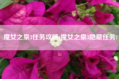魔女之泉3任务攻略(魔女之泉3隐藏任务)
