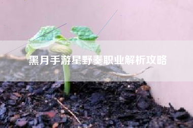 黑月手游星野奏职业解析攻略