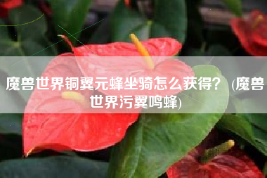 魔兽世界铜翼元蜂坐骑怎么获得？ (魔兽世界污翼鸣蜂)
