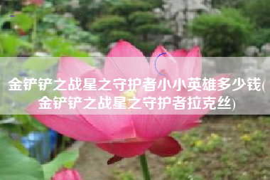 金铲铲之战星之守护者小小英雄多少钱(金铲铲之战星之守护者拉克丝)