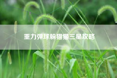 重力弹球躲猫猫三星攻略