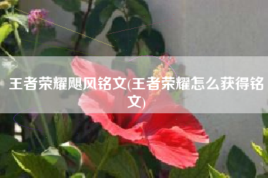 王者荣耀飓风铭文(王者荣耀怎么获得铭文)