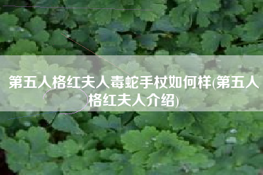 第五人格红夫人毒蛇手杖如何样(第五人格红夫人介绍)