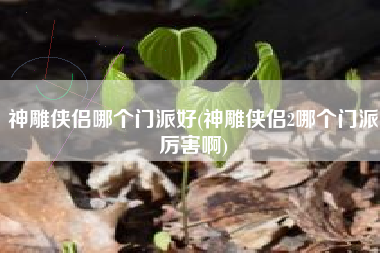 神雕侠侣哪个门派好(神雕侠侣2哪个门派厉害啊)