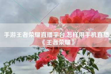 手游王者荣耀直播平台,怎样用手机直播《王者荣耀》