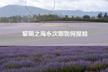 黎明之海永次郎如何捏脸