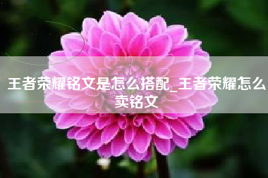 王者荣耀铭文是怎么搭配_王者荣耀怎么卖铭文