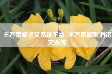 王者荣耀铭文系统不给_王者荣耀取消铭文系统