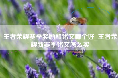 王者荣耀赛季奖励和铭文哪个好_王者荣耀新赛季铭文怎么买