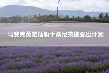马赛克英雄插旗手桑尼技能强度评测