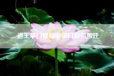 道王掌门修仙中宗门如何搬迁