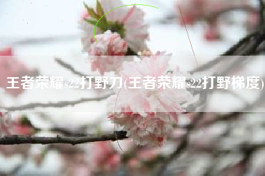 王者荣耀s22打野刀(王者荣耀s22打野梯度)