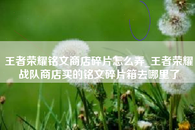 王者荣耀铭文商店碎片怎么弄_王者荣耀战队商店买的铭文碎片箱去哪里了