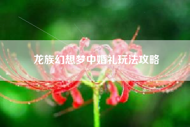 龙族幻想梦中婚礼玩法攻略