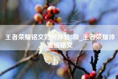 王者荣耀铭文如何体验5级_王者荣耀体验服铭文