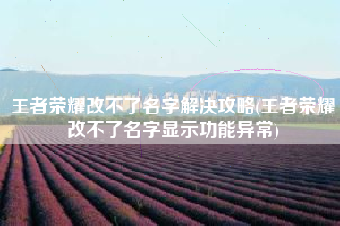 王者荣耀改不了名字解决攻略(王者荣耀改不了名字显示功能异常)