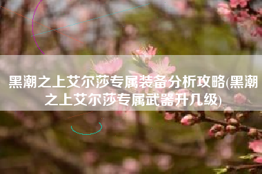 黑潮之上艾尔莎专属装备分析攻略(黑潮之上艾尔莎专属武器升几级)