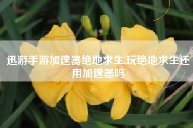 迅游手游加速器绝地求生,玩绝地求生还用加速器吗
