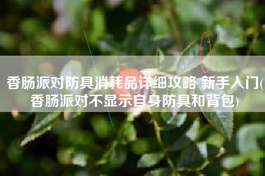 香肠派对防具消耗品详细攻略 新手入门(香肠派对不显示自身防具和背包)