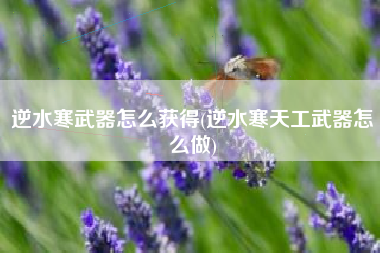 逆水寒武器怎么获得(逆水寒天工武器怎么做)