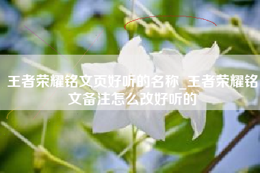 王者荣耀铭文页好听的名称_王者荣耀铭文备注怎么改好听的