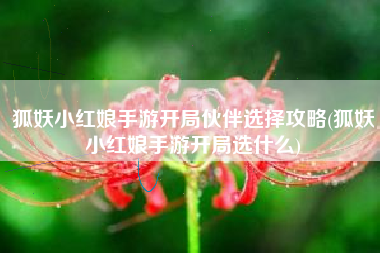 狐妖小红娘手游开局伙伴选择攻略(狐妖小红娘手游开局选什么)