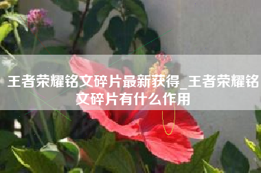 王者荣耀铭文碎片最新获得_王者荣耀铭文碎片有什么作用