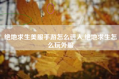 绝地求生美服手游怎么进入,绝地求生怎么玩外服