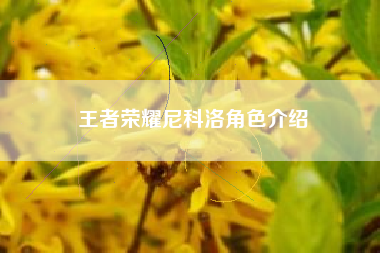 王者荣耀尼科洛角色介绍