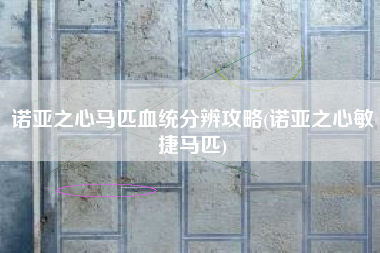 诺亚之心马匹血统分辨攻略(诺亚之心敏捷马匹)