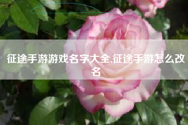征途手游游戏名字大全,征途手游怎么改名