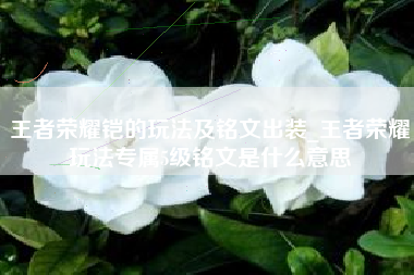 王者荣耀铠的玩法及铭文出装_王者荣耀玩法专属5级铭文是什么意思