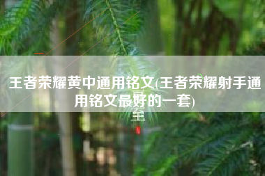 王者荣耀黄中通用铭文(王者荣耀射手通用铭文最好的一套)