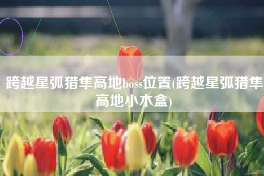 跨越星弧猎隼高地boss位置(跨越星弧猎隼高地小木盒)