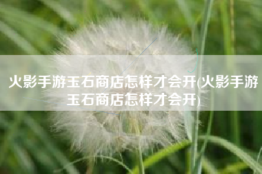 火影手游玉石商店怎样才会开(火影手游玉石商店怎样才会开)