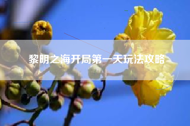 黎明之海开局第一天玩法攻略