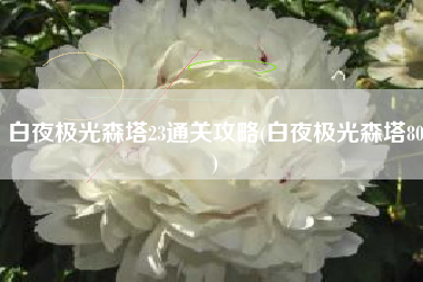 白夜极光森塔23通关攻略(白夜极光森塔80)