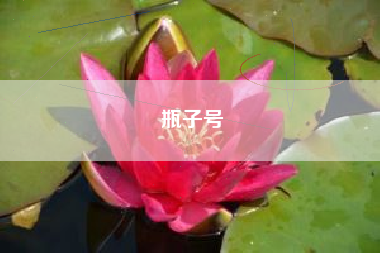 瓶子号