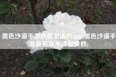 黑色沙漠手游最新激活码2022(黑色沙漠手游最新版本读取失败)