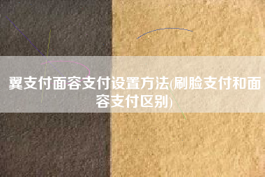 翼支付面容支付设置方法(刷脸支付和面容支付区别)
