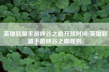 英雄联盟手游峡谷之巅开放时间(英雄联盟手游峡谷之巅规则)