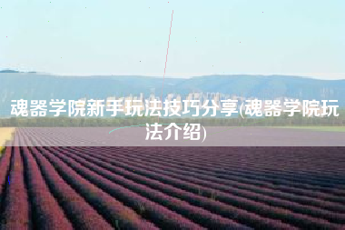 魂器学院新手玩法技巧分享(魂器学院玩法介绍)