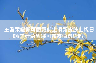 王者荣耀娜可露露前尘镜新皮肤上线日期(王者荣耀娜可露露值得练吗)