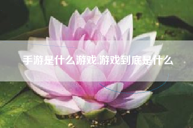 手游是什么游戏,游戏到底是什么