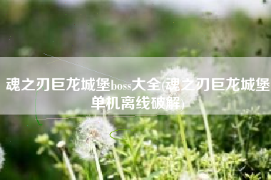 魂之刃巨龙城堡boss大全(魂之刃巨龙城堡单机离线破解)