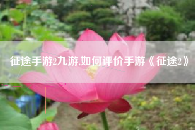 征途手游2九游,如何评价手游《征途2》