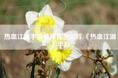 热血江湖手游彼岸花怎么样,《热血江湖》手游