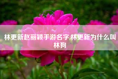 林更新赵丽颖手游名字,林更新为什么叫林狗